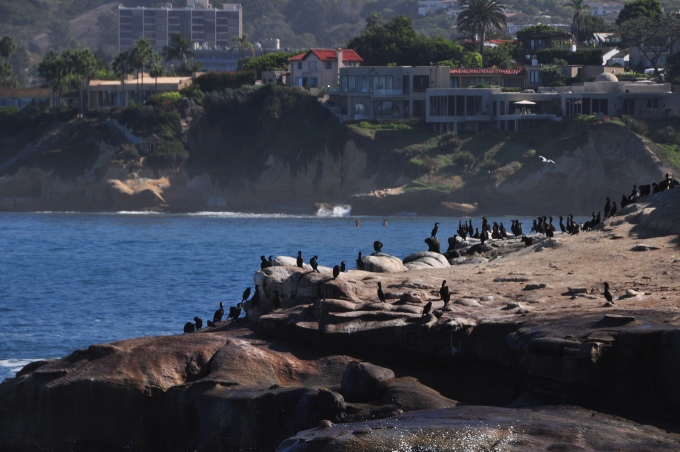 La Jolla coastline